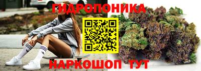 apvp Чебаркуль