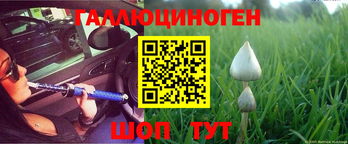 Галлюциногенные грибы Cubensis  как найти закладки  Дзержинск  Вход с VPN 